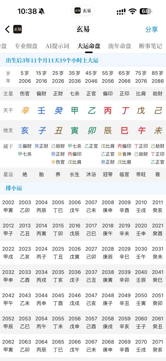 玄易 App 大运命盘界面
